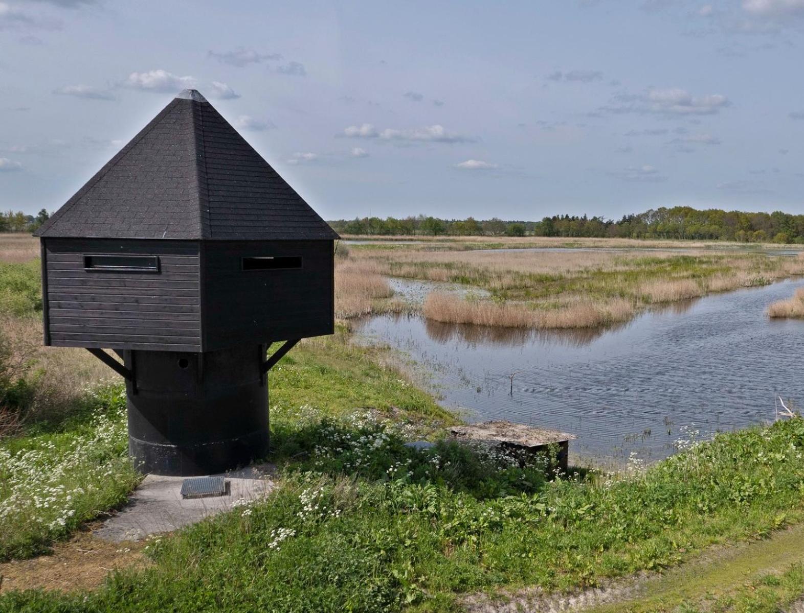 Vakantiewoning De Oeverzwaluw In Hartje Drenthe, Met Airco! Zwiggelte Exterior foto